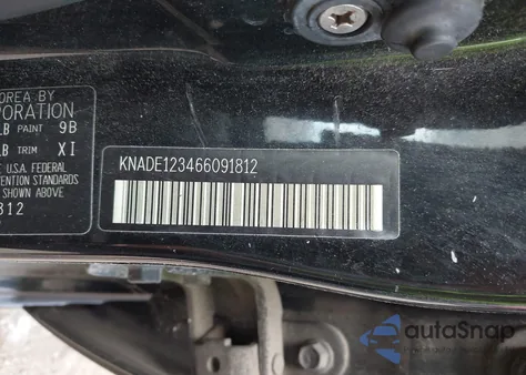 2006 Kia Rio Lx z USA, uszkodzony, nr VIN KNADE123466091812